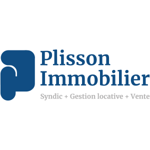 Plisson-web-logo